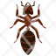 ant-ants-arthropod-insects-animal-pest-icon