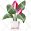 anthuriumplant-nature-blossom-flowers-petals-botanical-icon