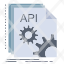 api-app-coding-developer-software-icon