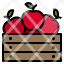 apple-basket-fruit-farm-icon