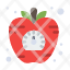apple-diet-health-vegetable-time-icon