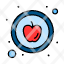apple-food-healthy-icon