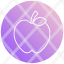 apple-fruit-food-healthy-diet-fresh-organic-nutrition-icon