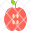 apple-fruit-food-healthy-diet-icon