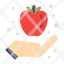 apple-fruit-healthy-breakfast-icon