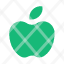 apple-grocery-food-gastronomy-icon