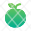 apple-healthy-fruit-icon