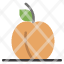 apricot-food-fruit-icon