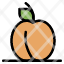 apricot-food-fruit-icon
