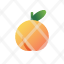 apricot-healthy.fruit-icon