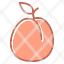 apricotfood-fruit-icon
