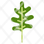 arugula-leaf-vegetable-herbs-icon