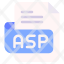 asp-file-type-format-extension-document-icon
