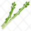 asparagus-vegetable-stems-food-green-icon