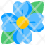 aubrieta-flower-floweret-blossom-botany-nature-icon