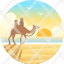 australia-beach-broome-cable-beach-camel-tourism-icon