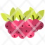 autumn-berries-fruit-berry-food-healthy-icon