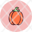 autumn-food-halloween-harvest-plant-pumpkin-vegetable-icon