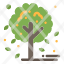 autumn-leaf-tree-icon