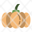 autumn-pumpkin-winter-vegetable-icon
