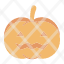 autumncelebration-face-festival-halloween-pumpkin-scary-icon