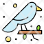 aviary-bird-finch-small-sparrow-season-icon
