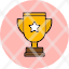 award-achievement-cup-prize-star-trophy-icon