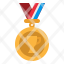 award-medal-sports-certification-winner-icon