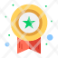 award-medal-star-success-icon