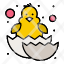 baby-chicken-easter-happy-icon