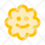 baby-child-emotion-face-flower-icon