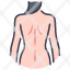 back-female-anatomy-body-human-naked-icon