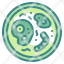 bacteria-bacterium-scientist-cell-virus-biology-lab-icon