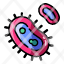 bacteria-disease-cell-icon