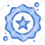 badge-label-star-shopping-icon