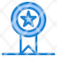 badges-insignia-ribbon-stamp-icon