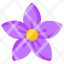 balloon-flower-floweret-blossom-botany-nature-icon