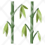 bamboo-branch-forest-leaf-nature-plant-icon