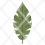 banana-leaf-flora-culture-tropical-icon