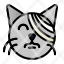 bandage-cat-pet-vet-veterinary-icon