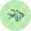 banggai-cardinal-animal-fish-ocean-water-icon