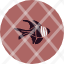 banggai-cardinal-animal-fish-ocean-water-icon