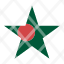 bangladesh-flag-star-icon