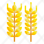 barley-wheat-food-leaves-branch-icon