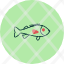 bass-food-marine-ocean-perch-rockfish-sea-icon