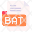 bat-file-type-format-extension-document-icon