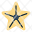 beach-sea-star-starfish-icon