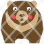 bear-wild-animal-wildlife-mammal-grizzly-icon