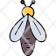bee-honey-insect-nature-fly-icon