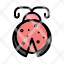 beetle-bug-ladybird-ladybug-icon